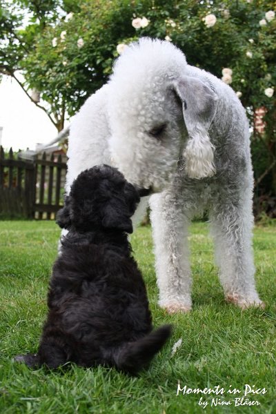 Arc-en-ciel Antares 2009-06-17 (48).JPG